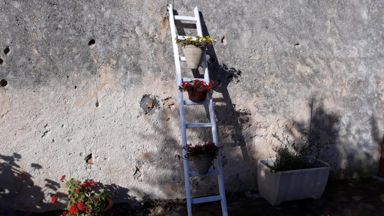 קאסטלמארה דל גולפו Villa Alessandro מראה חיצוני תמונה