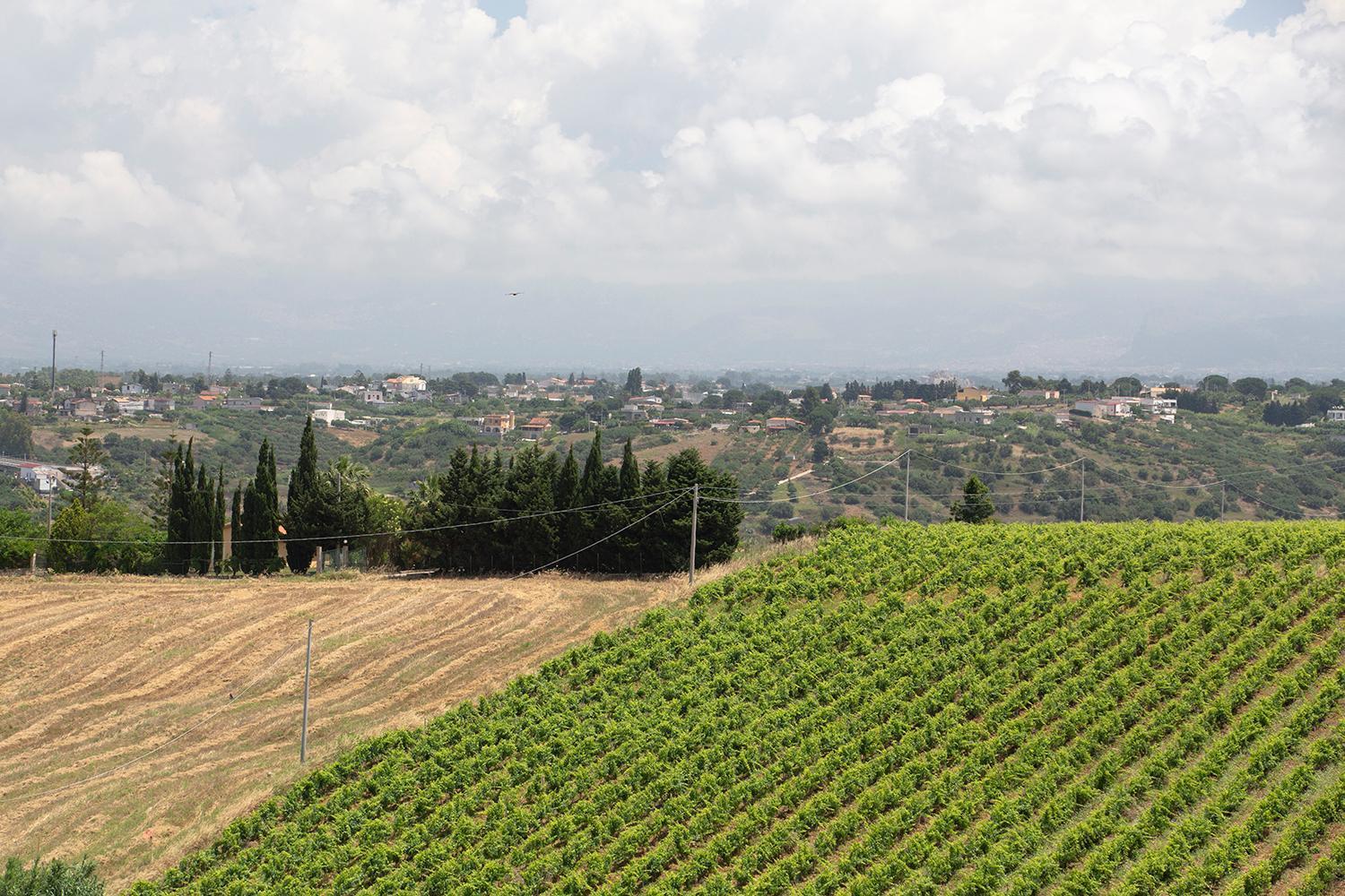 קאסטלמארה דל גולפו Villa Alessandro מראה חיצוני תמונה